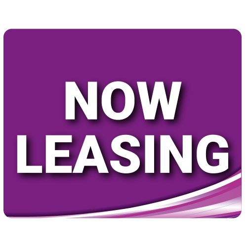 Standard Now Leasing - Purple - 2 Pack