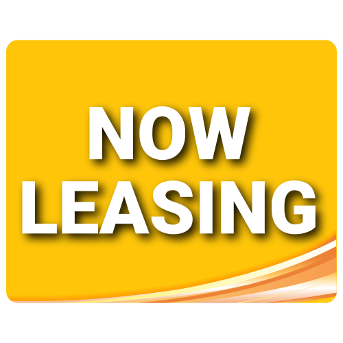 Standard Now Leasing - Yellow - 2 Pack