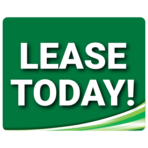Standard Lease Today - Green - 2 Pack