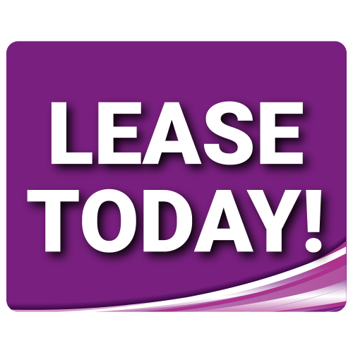 Standard Lease Today - Purple - 2 Pack