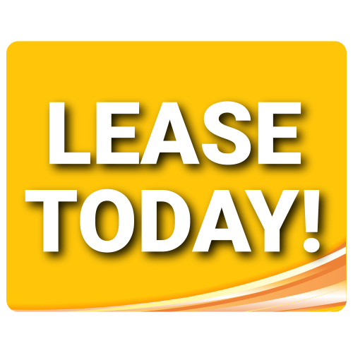 Standard Lease Today - Yellow - 2 Pack