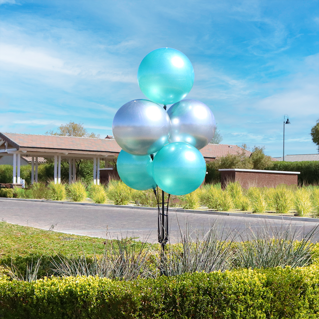 DuraBalloon® 5-Balloon Cluster Pole Kit